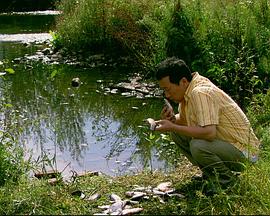 來福，來福