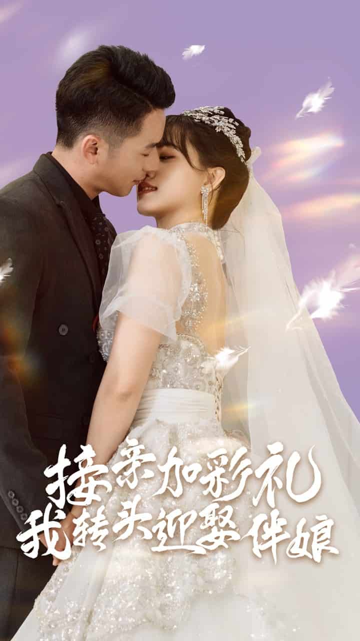 接親加彩禮，我轉(zhuǎn)頭迎娶伴娘(全集)