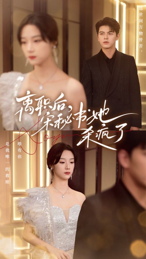 離職后，宋秘書(shū)她殺瘋了(全集)