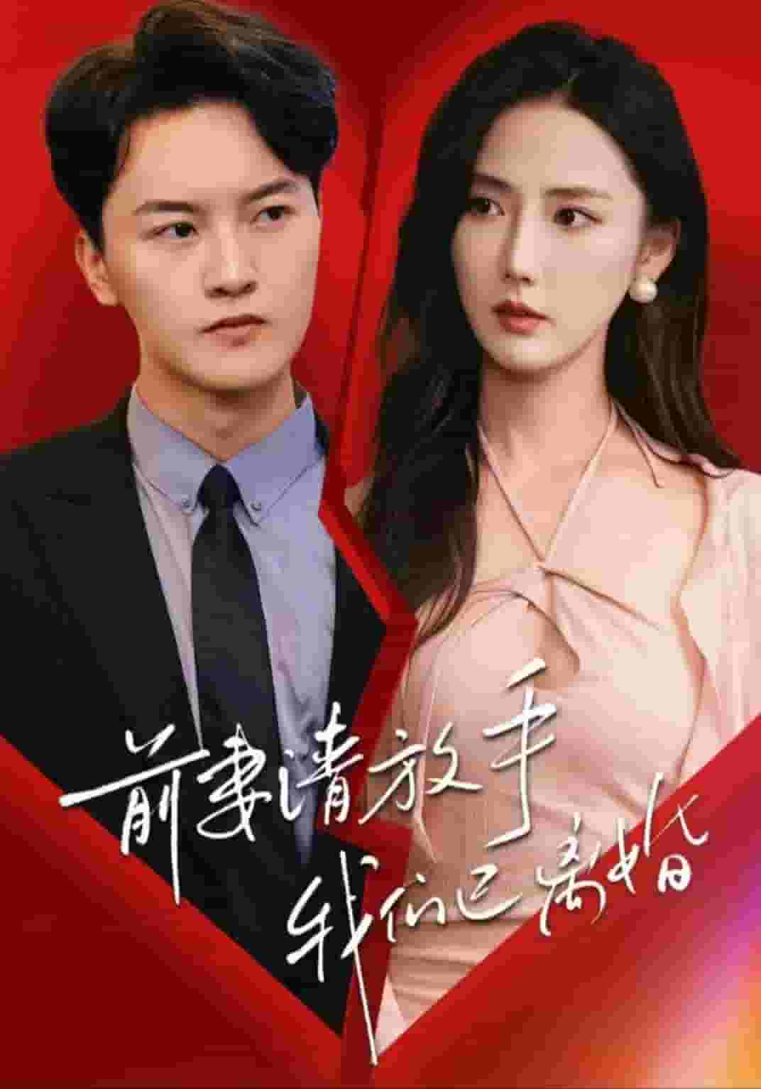 前妻請(qǐng)放手，我們已離婚(全集)