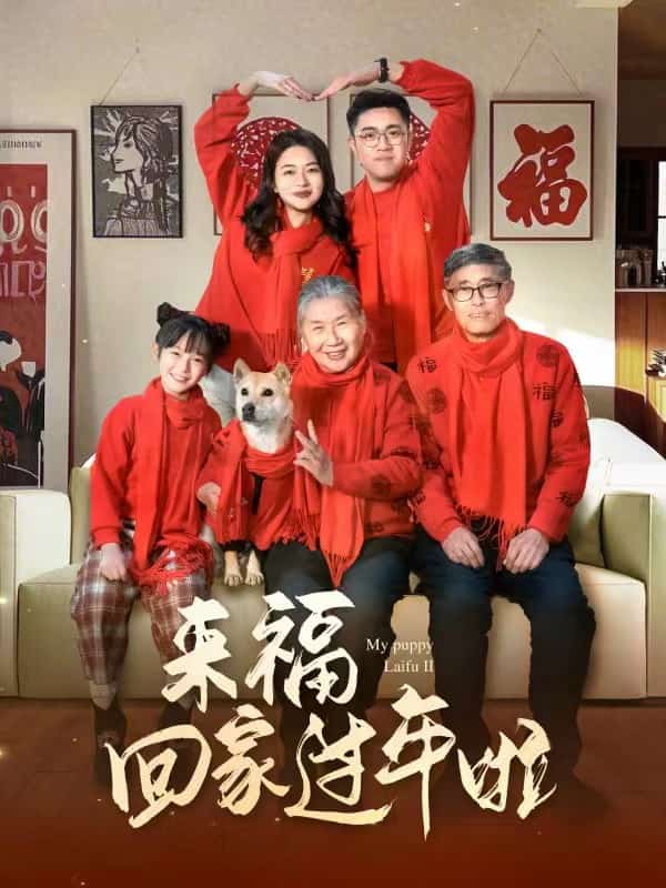 來?；丶疫^年啦(全集)