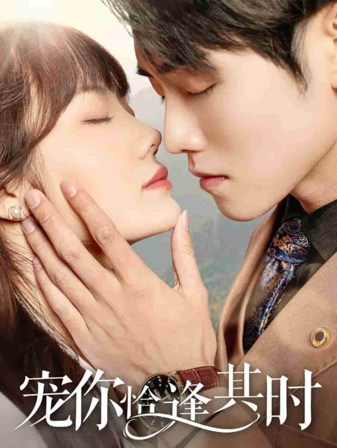 寵你恰逢其時(shí)(全集)