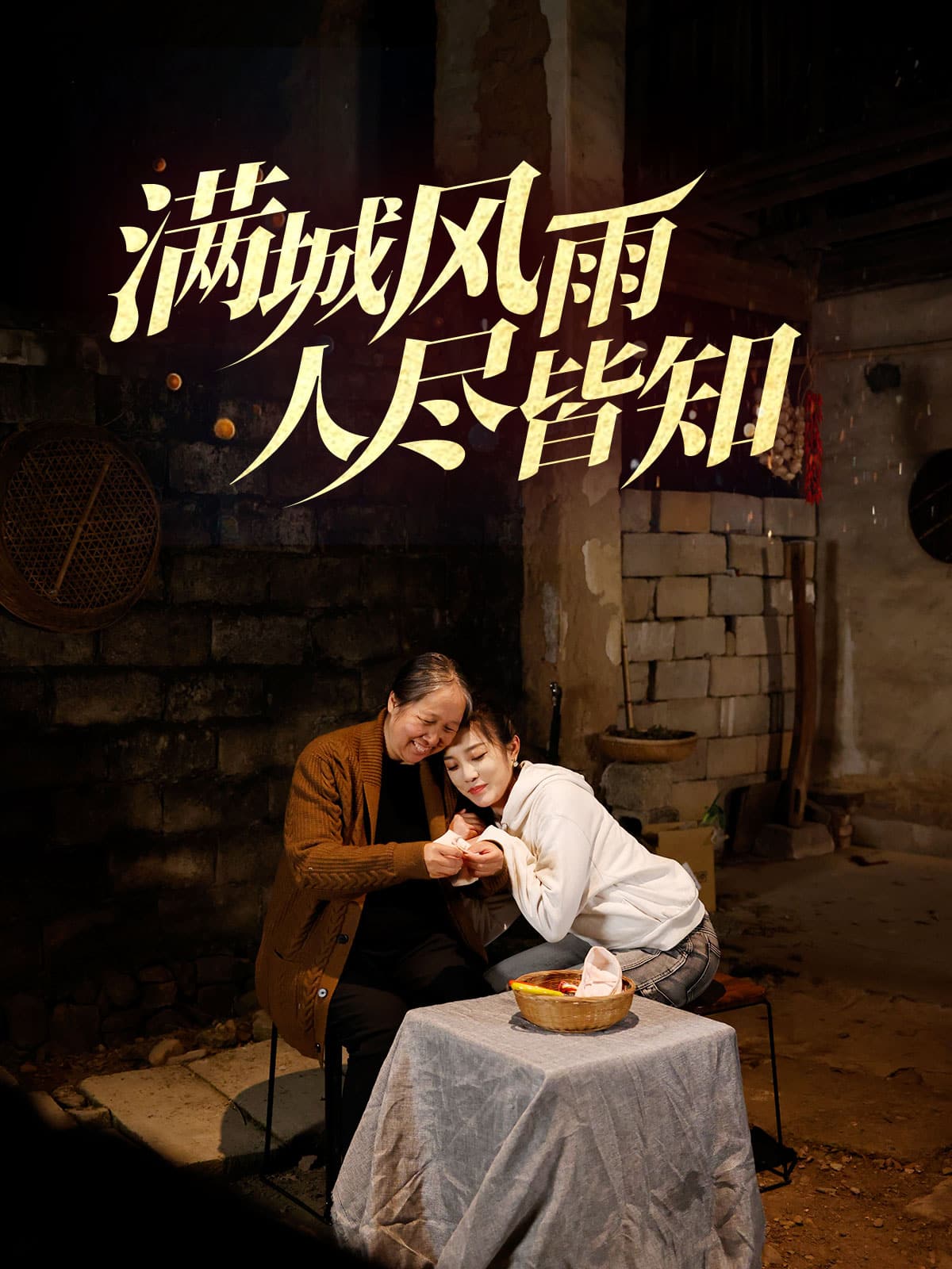 滿城風雨人盡皆知(全集)