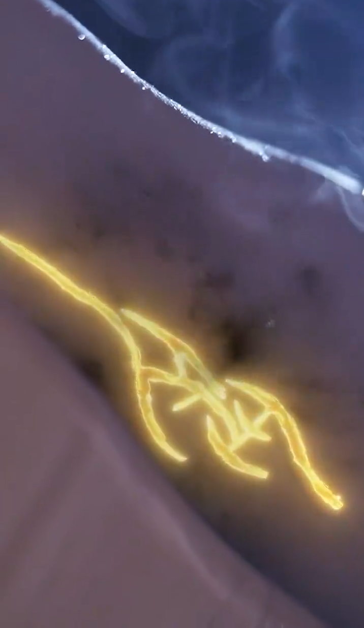 緣來仙妻就是你(全集)