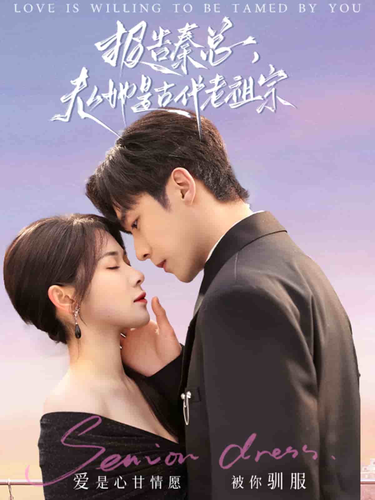 報(bào)告秦總，夫人她是古代老祖宗(全集)