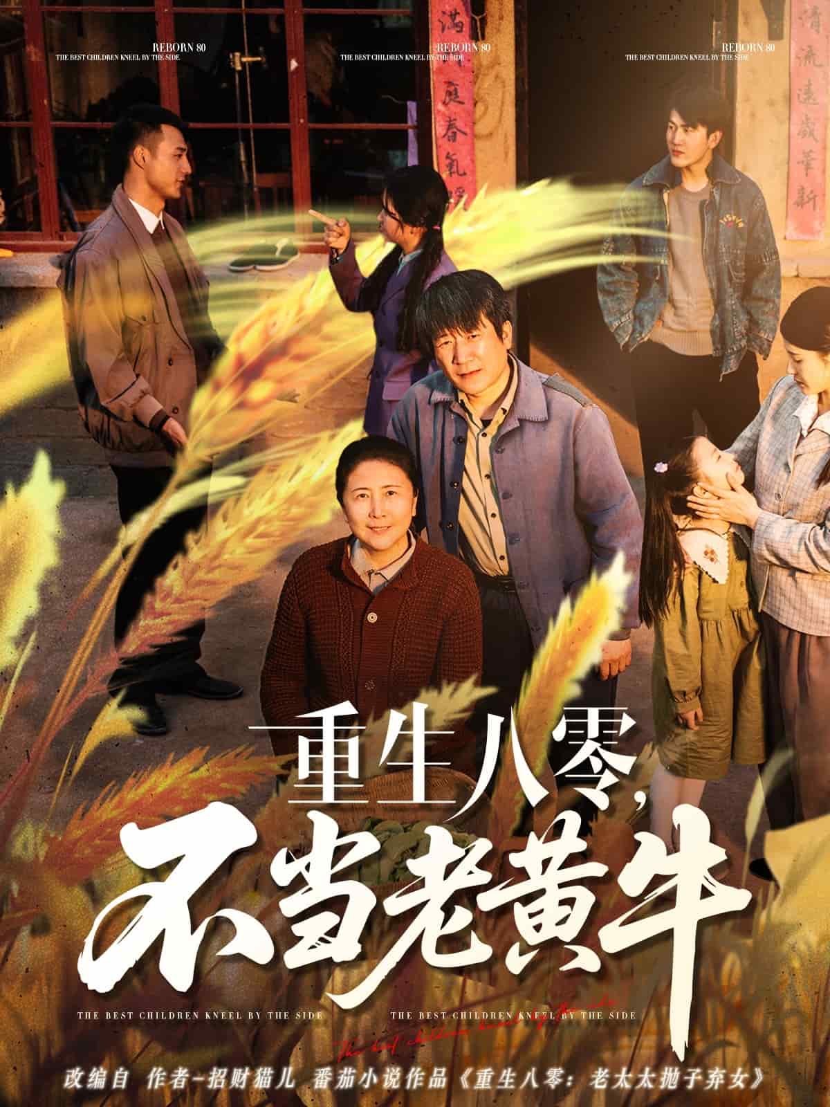 重生八零，不當(dāng)老黃牛(全集)