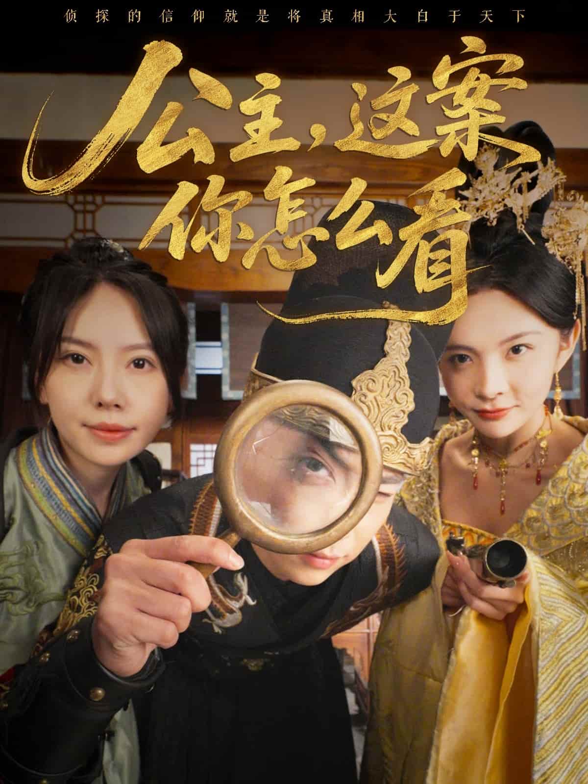 公主，這案你怎么看(全集)