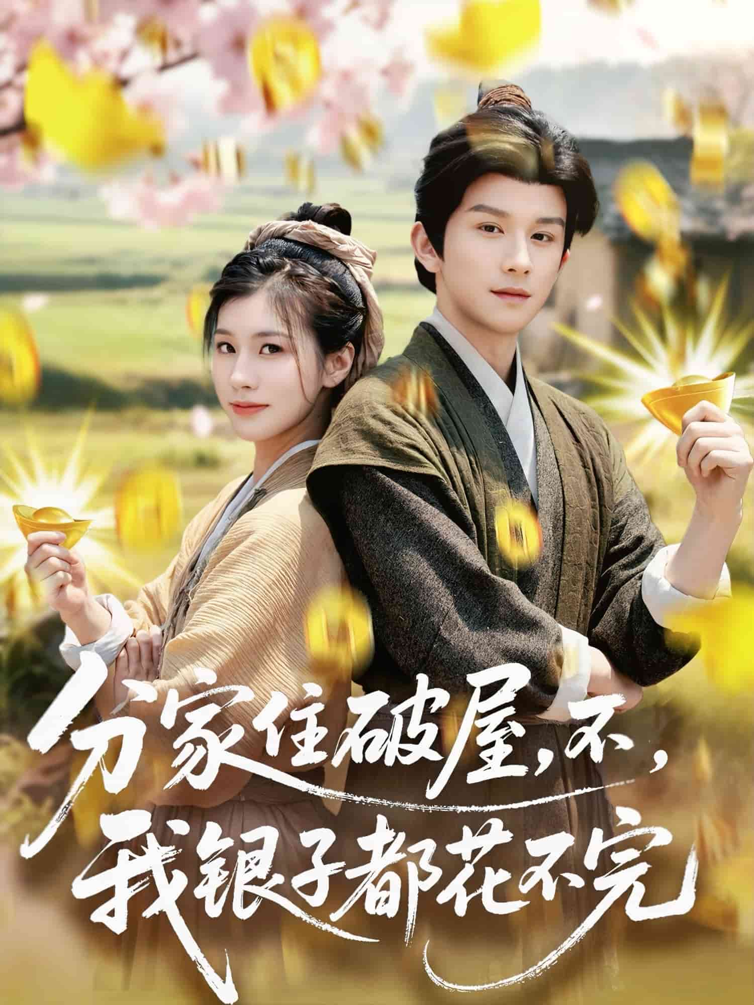 分家住破屋，不，我銀子都花不完(全集)