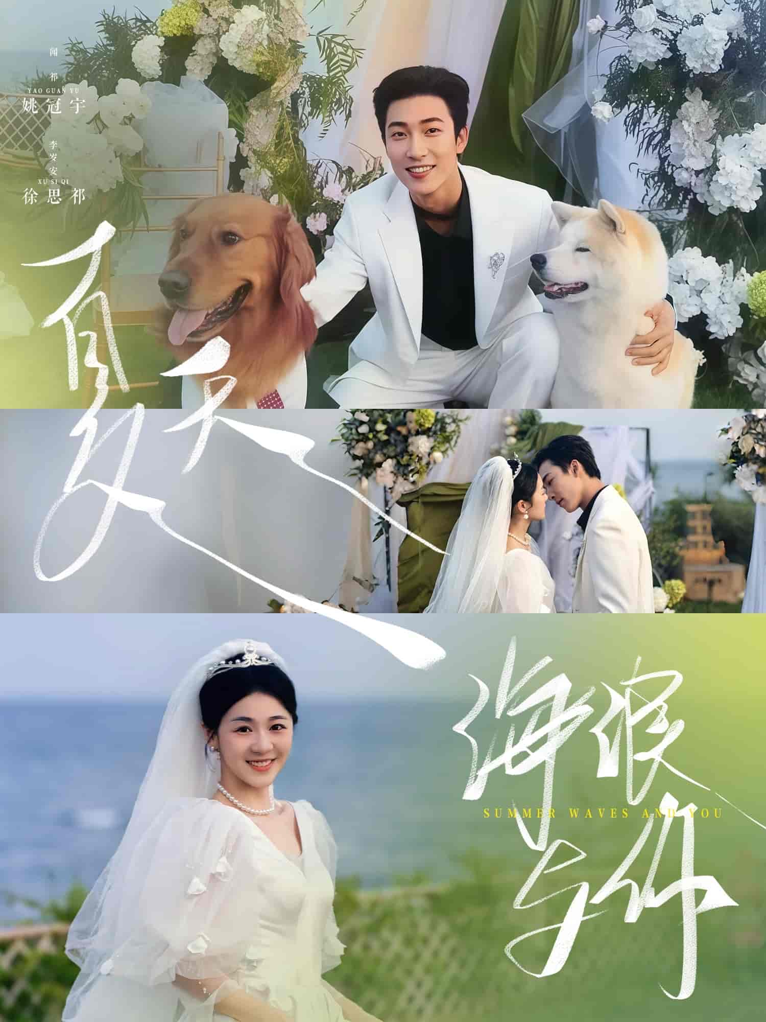 夏天，海浪與你(全集)