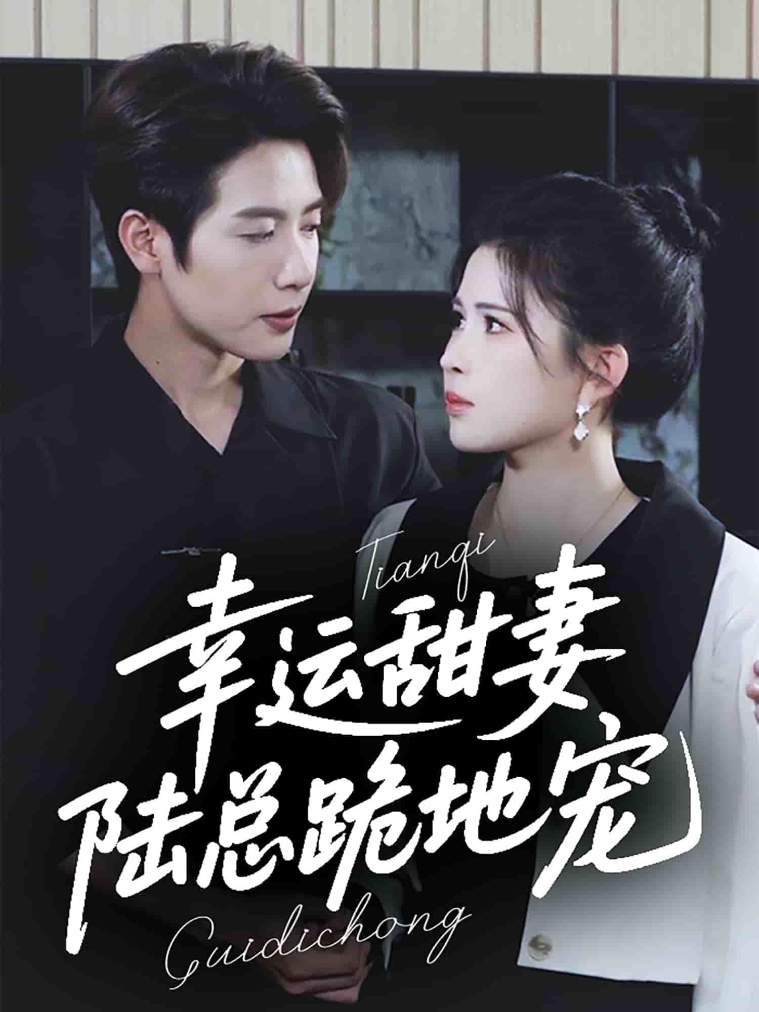 幸運甜妻，陸總跪地寵(全集)