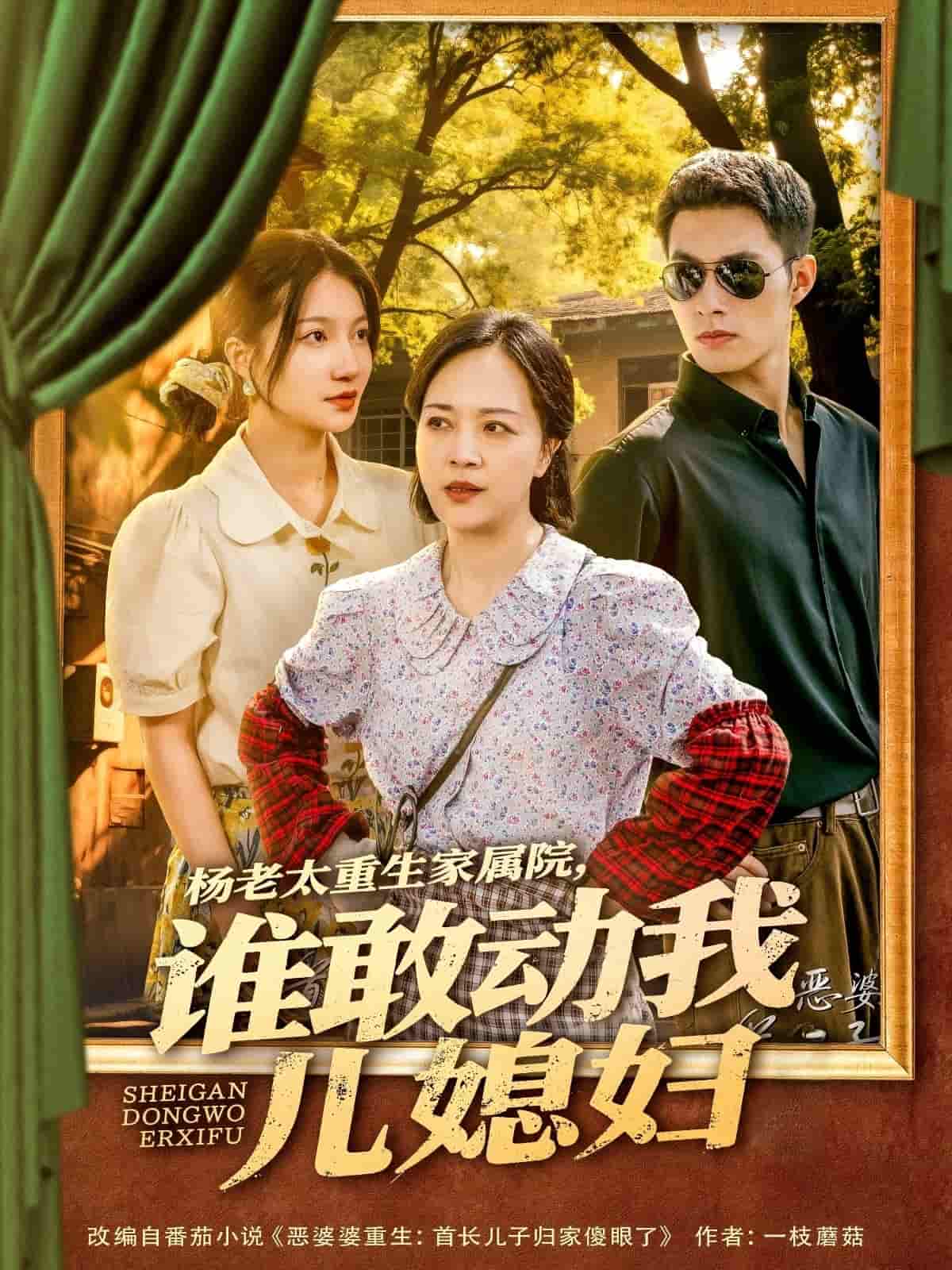 楊老太重生家屬院，誰敢動(dòng)我兒媳婦(全集)