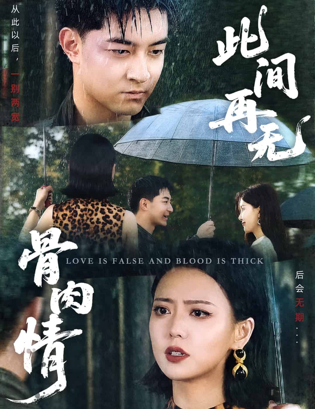 此間再無骨肉情(全集)