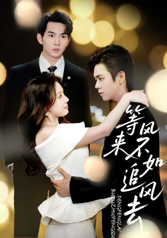 等風(fēng)來不如追風(fēng)去(全集)