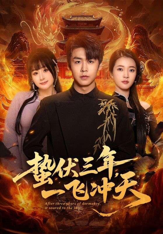 蟄伏三年，一飛沖天(全集)