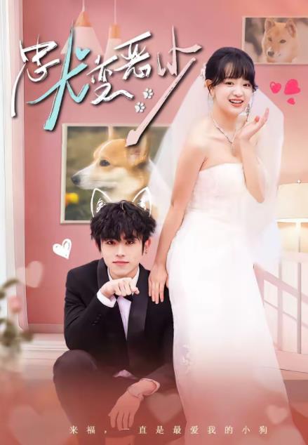 驚！我家來福變惡少了(全集)