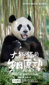 大熊貓的生日愿望(全集)