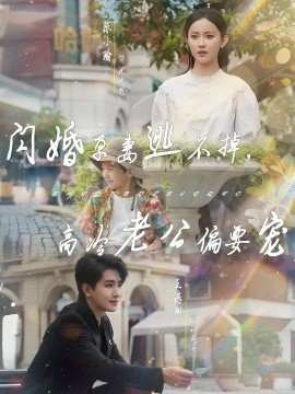 閃婚孕妻逃不掉，高冷老公偏要寵(全集)