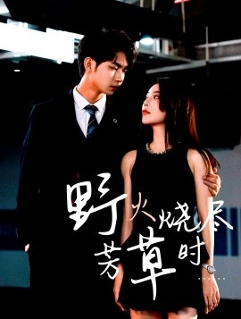 野火燒盡芳草時(全集)