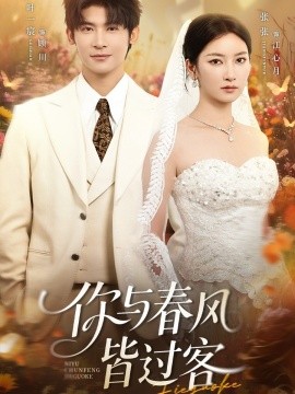 你與春風(fēng)皆過(guò)客(全集)