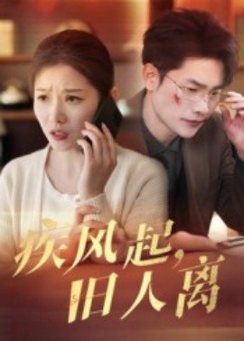 疾風(fēng)起舊人離短劇(全集)