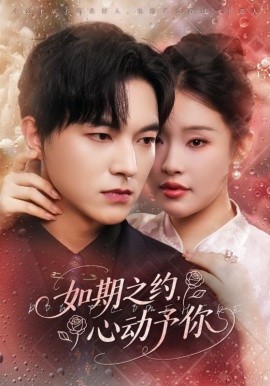 如期之約心動(dòng)予你(全集)