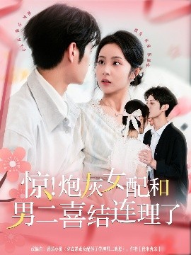 驚！炮灰女配和男二喜結(jié)連理了(全集)