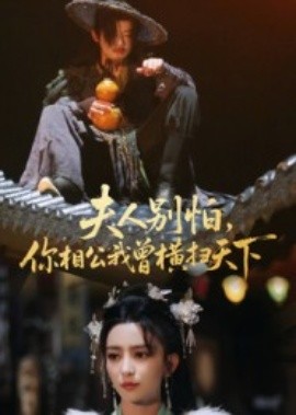 夫人別怕，你相公我曾橫掃天下(全集)