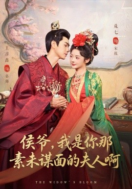 侯爺，我是你那素未謀面的夫人啊(全集)