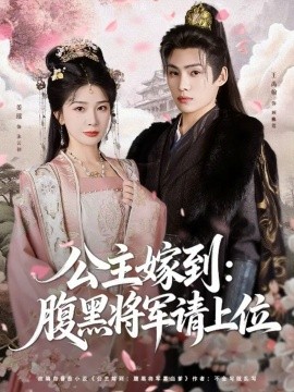 公主嫁到：腹黑將軍請上位(全集)