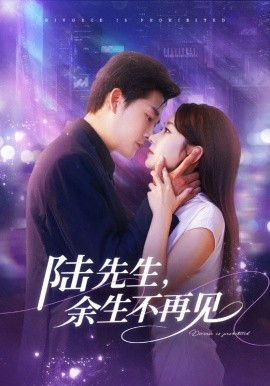 陸先生，余生不再見(jiàn)(全集)