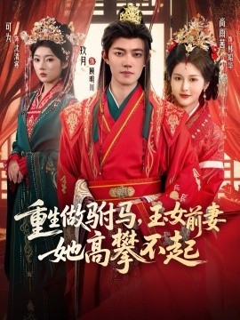 重生做駙馬，玉女前妻她高攀不起(全集)