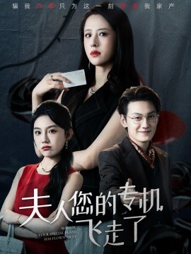 夫人您的專機飛走了(全集)