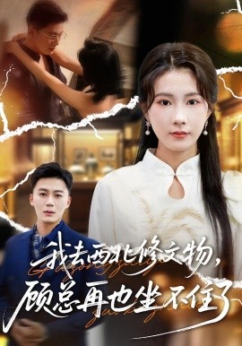 我去西北修文物，顧總再也坐不住了(全集)