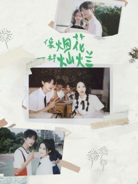 像煙花一樣燦爛(全集)