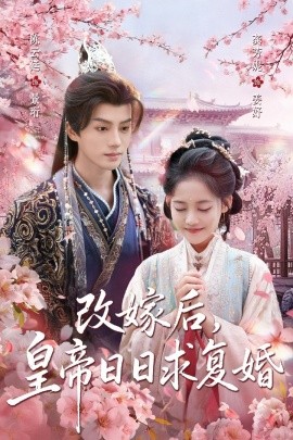 改嫁后，皇帝日日求復(fù)婚(全集)
