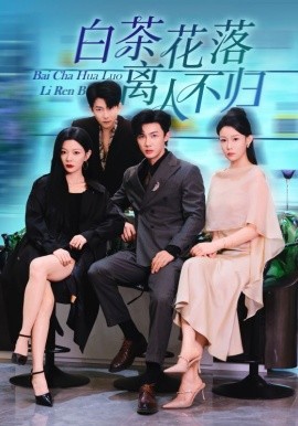 白茶花落離人(全集)