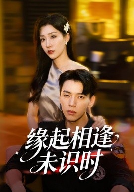 緣起相逢未識時(shí)(全集)