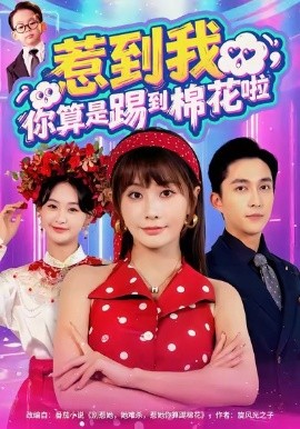 惹到我，你算是踢到棉花啦(全集)