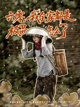 六零，我全家都是極品怎么了(全集)