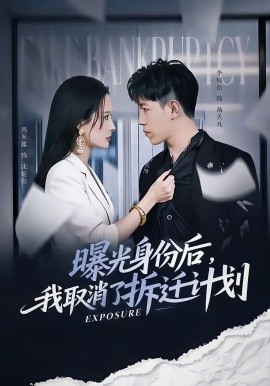 曝光身份后，我取消了拆遷計(jì)劃(全集)