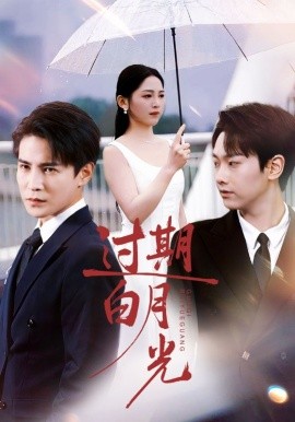 過期白月光(全集)