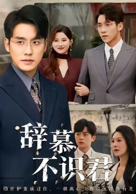 辭慕不識(shí)君 七年情深終成侮(全集)