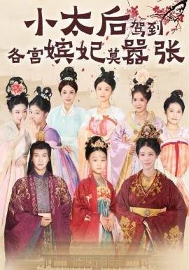 小太后駕到，各宮嬪妃莫囂張(全集)
