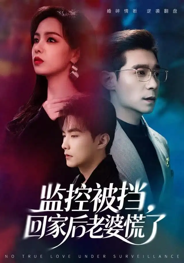 監(jiān)控被擋，回家后老婆慌了(全集)