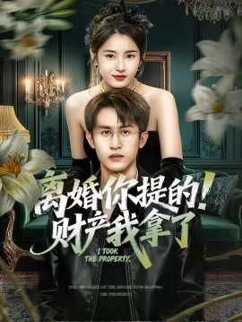 離婚你提的！財產(chǎn)我拿了(全集)