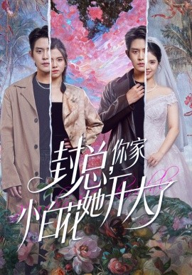 封總，你家小白花她開大了(全集)