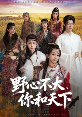 野心不大，你和天下(全集)