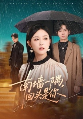 南墻一隅，回頭是你(全集)