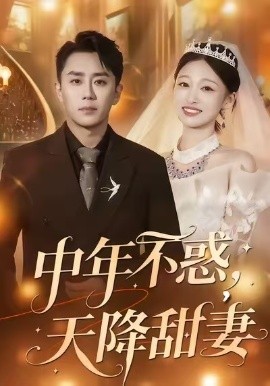 中年不惑，天降甜妻(全集)