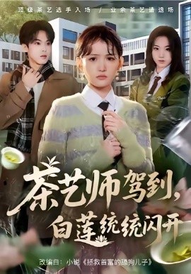 茶藝師駕到白蓮統(tǒng)統(tǒng)閃開(全集)